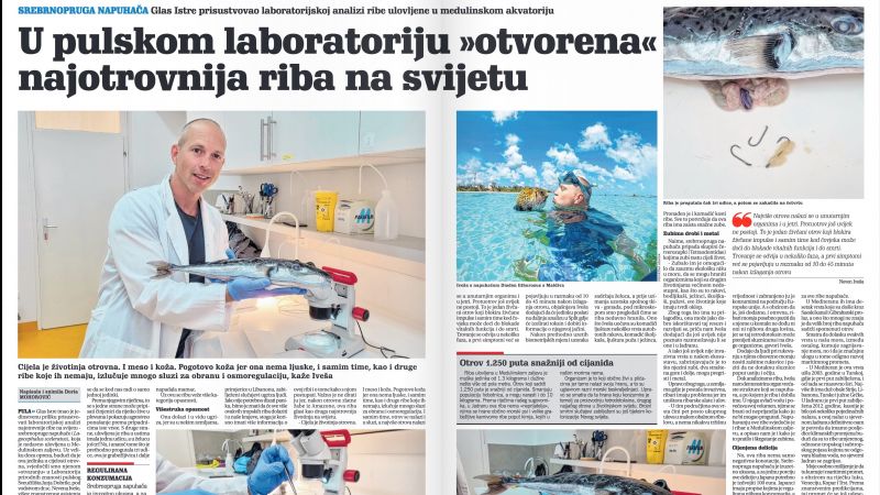 U pulskom laboratoriju...
