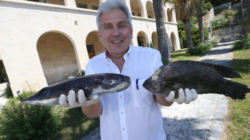 Jakov Dulčić. “Biološka raznolikost...